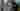 Loading