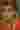 Loading