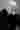 Loading