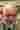 Loading