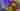 Loading