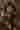 Loading