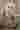 Loading