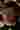 Loading