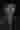 Loading