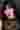 Loading