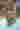 Loading