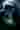 Loading