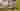 Loading