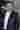 Loading