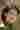 Loading