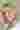 Loading