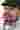 Loading