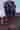 Loading