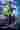 Loading