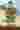 Loading
