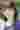 Loading