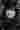 Loading