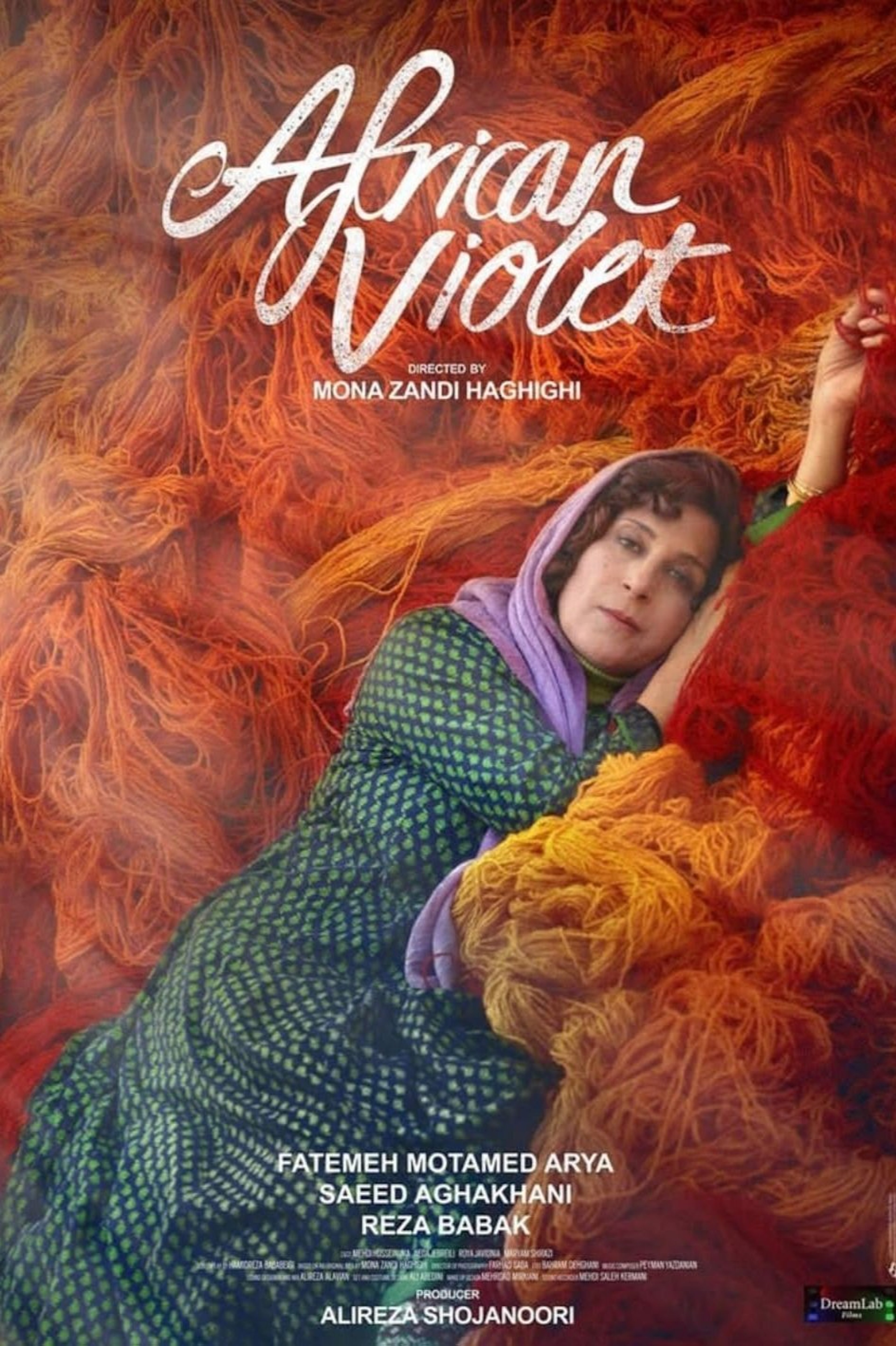 بنفشه آفریقایی