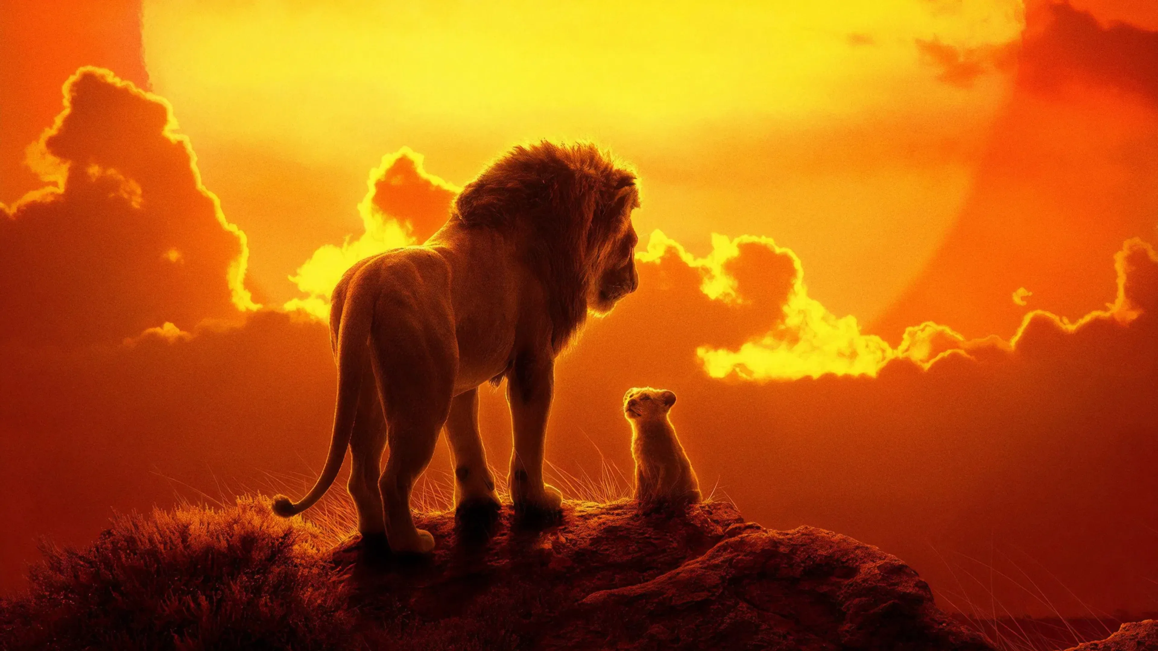 The Lion King 2019