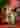 Loading