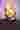 Loading