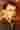 Loading