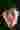 Loading