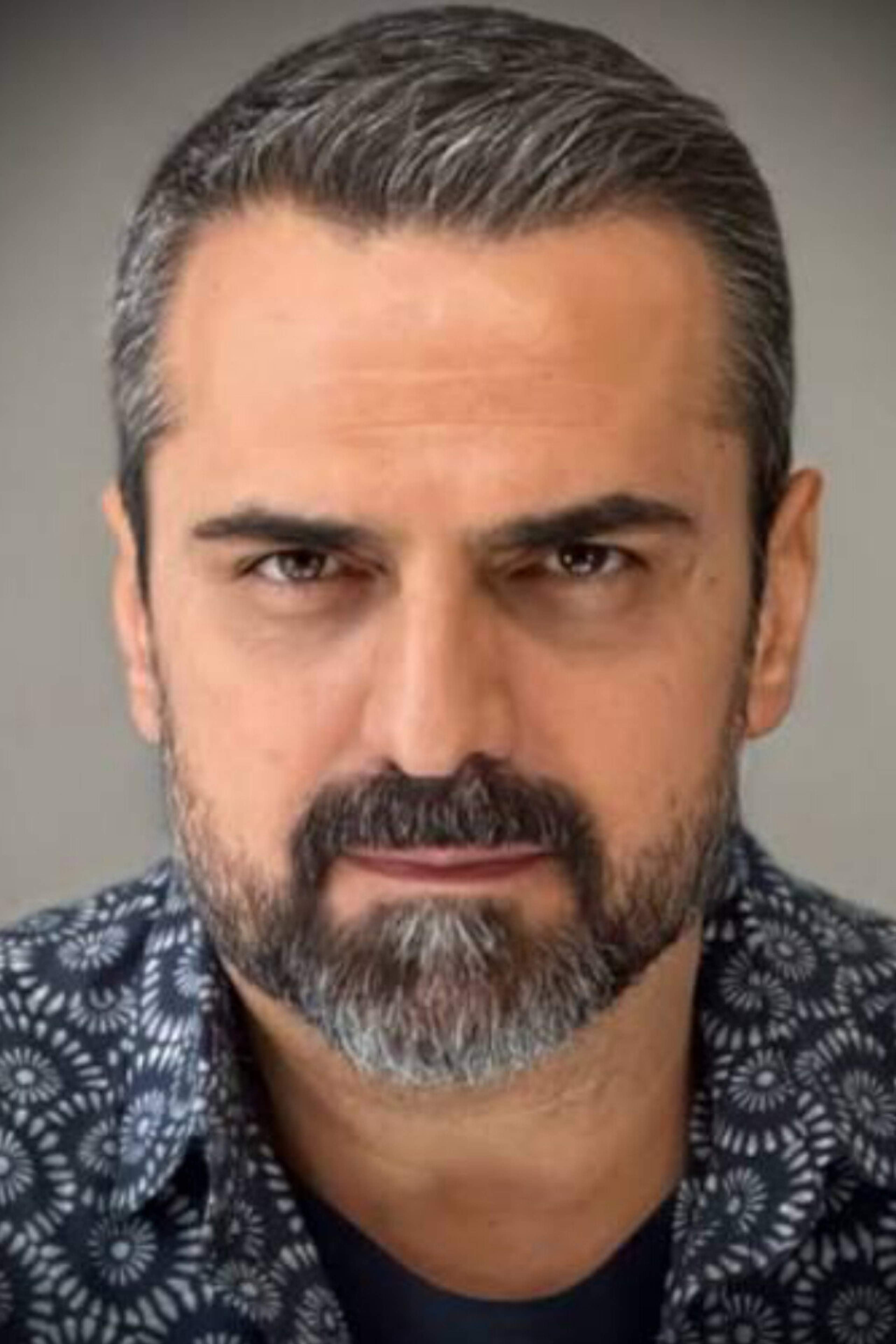 Alireza Ara