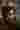 Loading