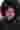 Loading