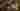 Loading