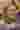 Loading