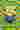 Loading