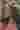 Loading