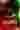 Loading
