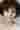Loading