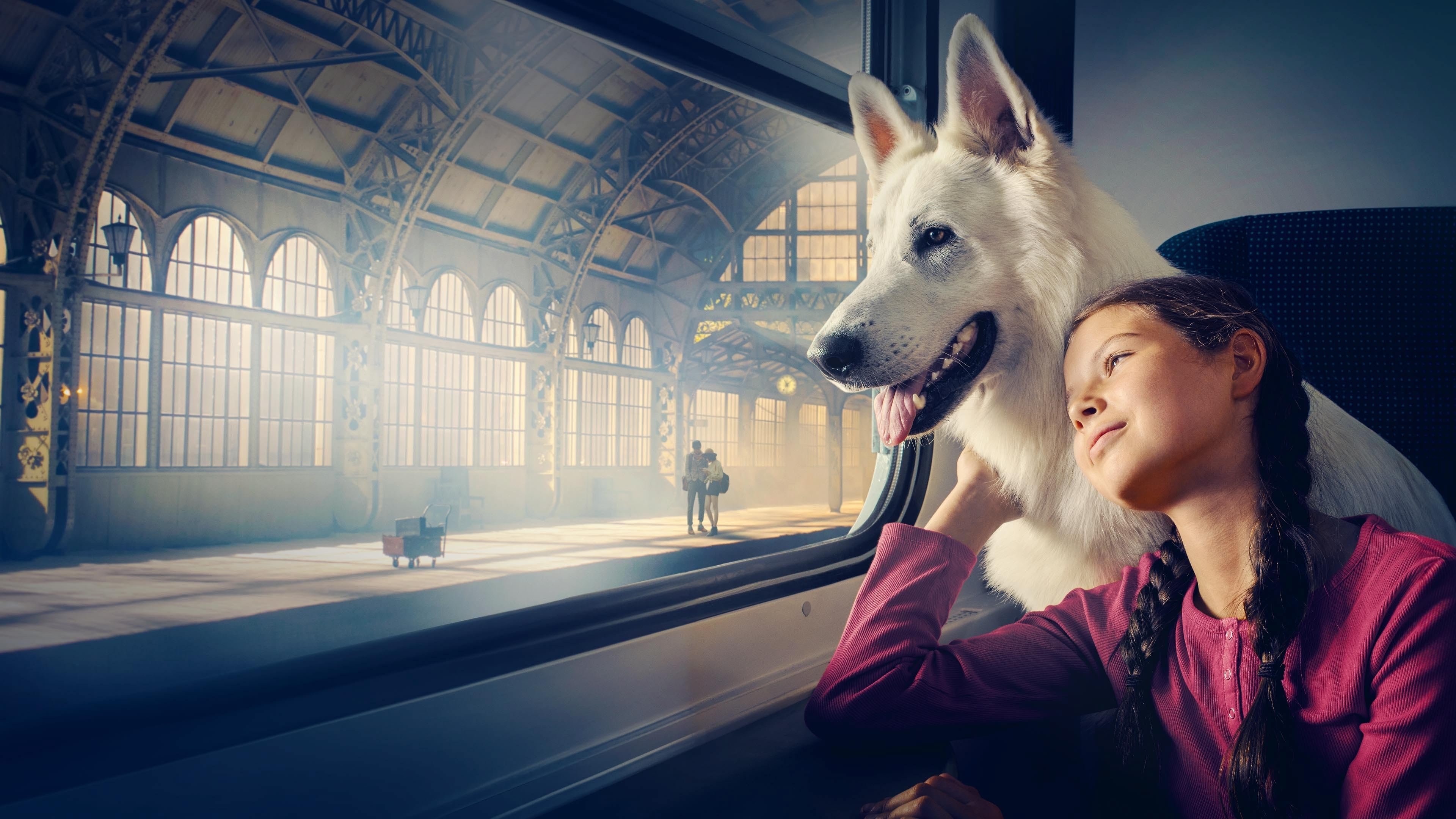 The Dog Who Travelled by Train
