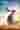 Loading