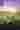 Loading