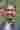 Loading