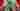 Loading