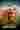 Loading