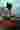 Loading
