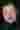 Loading