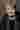 Loading
