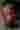 Loading