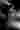 Loading