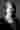 Loading