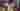 Loading